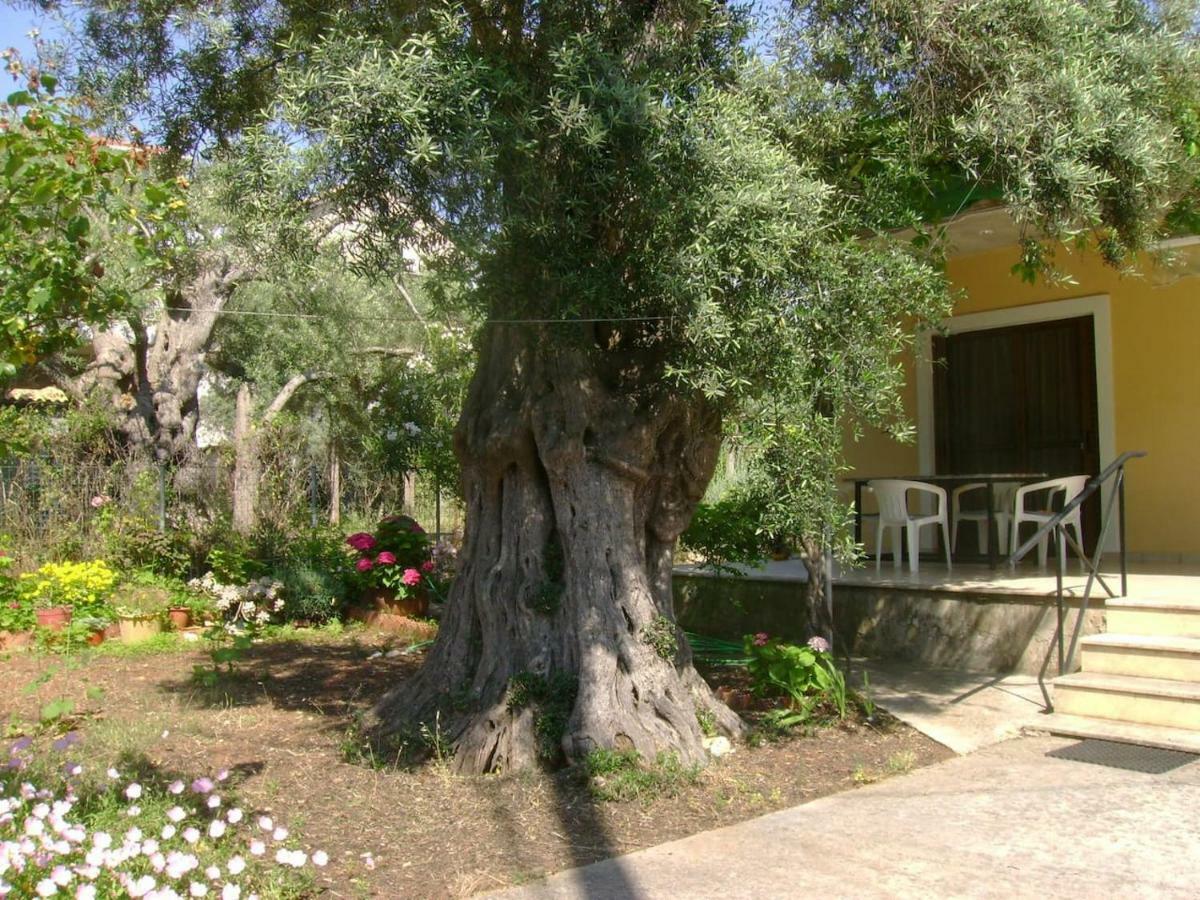 Vila Lefkas House With Garden Tsoukaládhes Exteriér fotografie